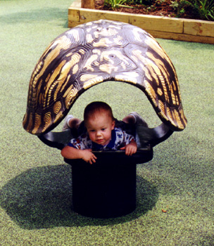 Nicholas in a Turtle Shell
