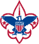 BSA Logo